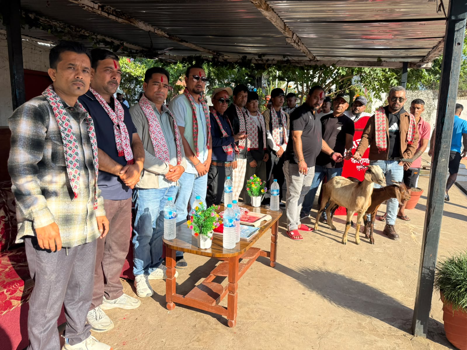 स्मार्ट भूमि रियलस्टेटद्वारा सुर्खेत कारागारका कैदीबन्दीलाई खसी उपहार